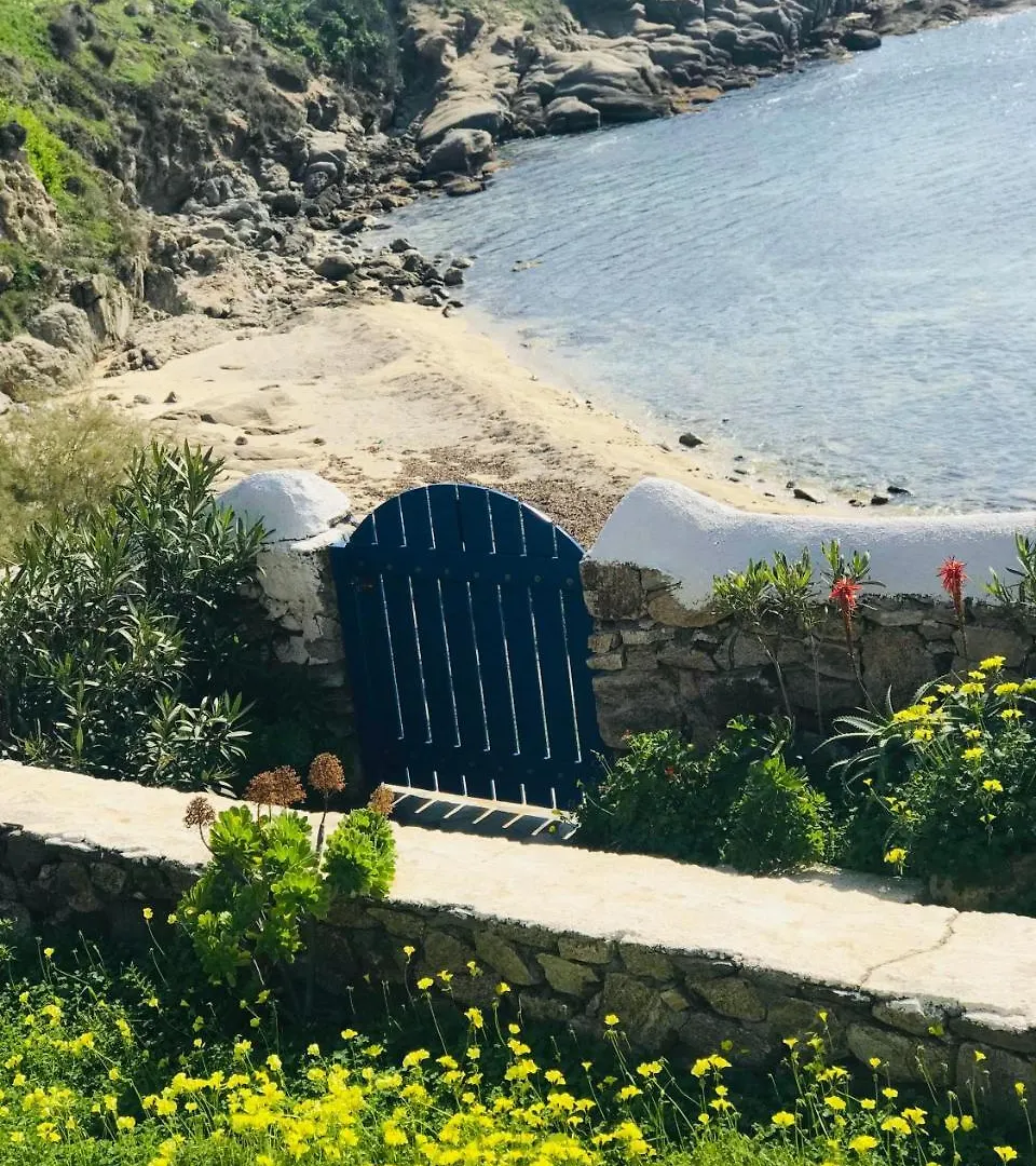 Mykonos Le Grand Bleu Beachfront Suite Platys Gialos  Tatil Evi